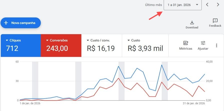 Dashboard Google Ads mostrando 243 conversões